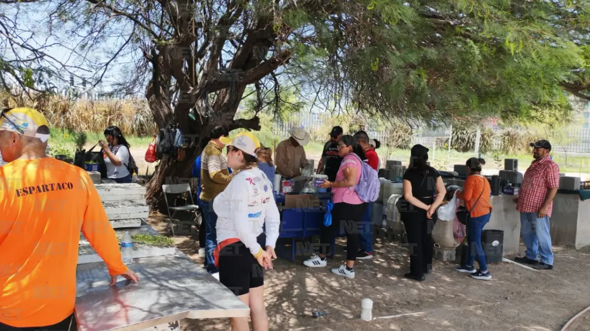 Regala Parque Central 800 árboles en Feria Ambiental