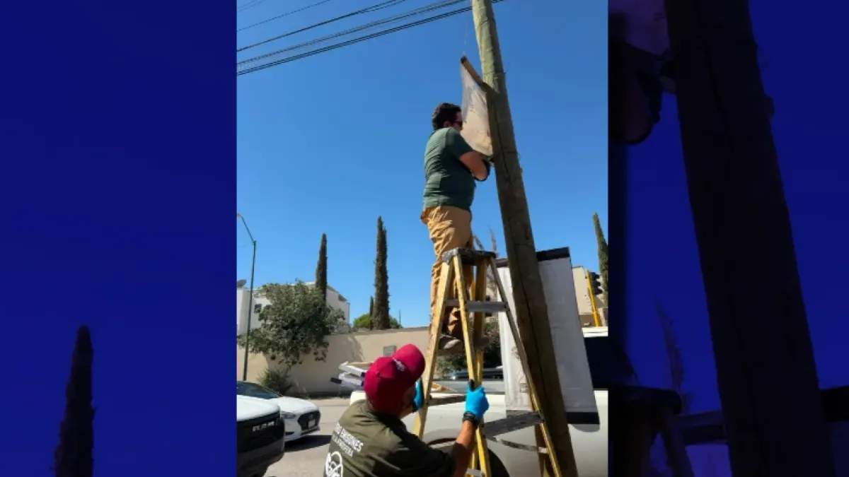 Retira Ecología 200 pendones de publicidad ilegal en postes de Valle de Sol