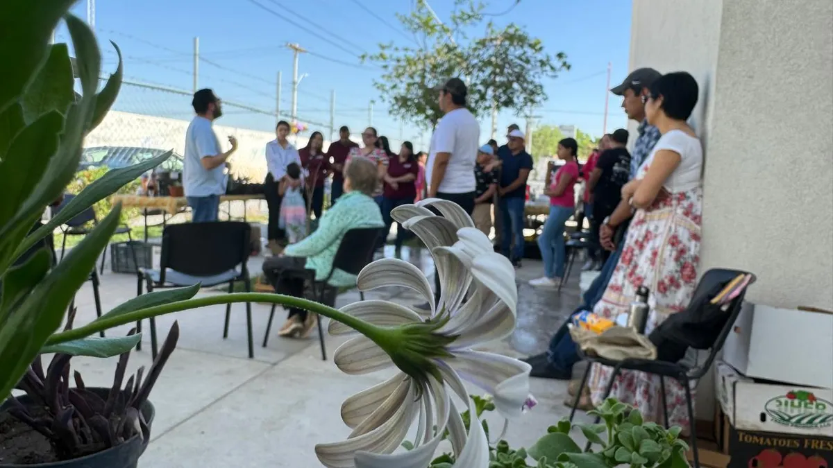 Invitan a intercambio gratuito de plantas y semillas en Valle del Sol