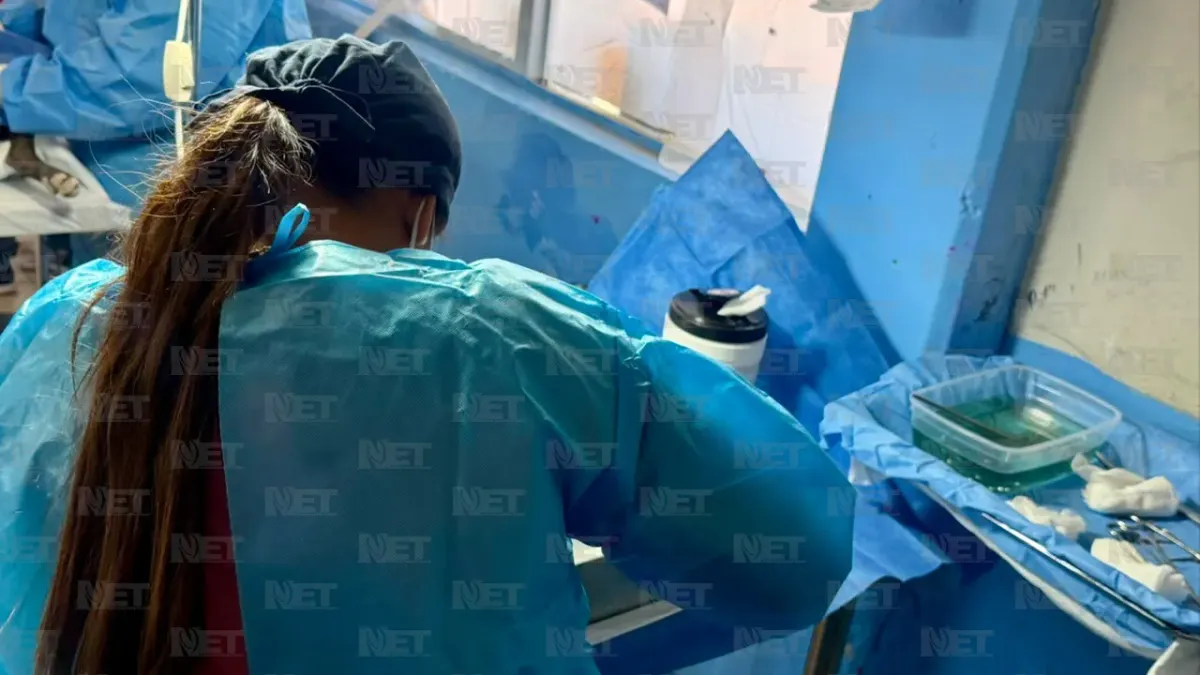 Realiza DABA jornada gratuita de esterilización en Praderas del Sol
