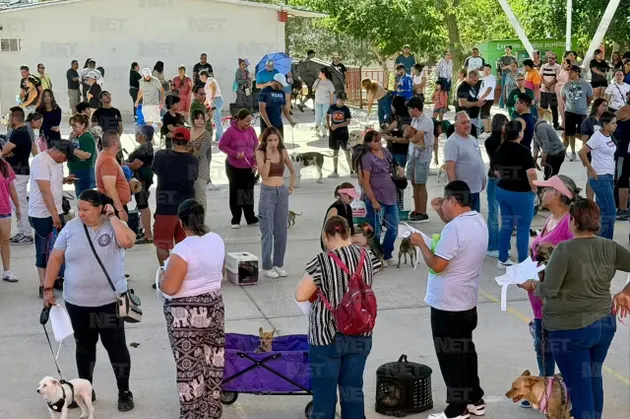 Realizarán esterilización gratuita de mascotas este domingo en Juárez