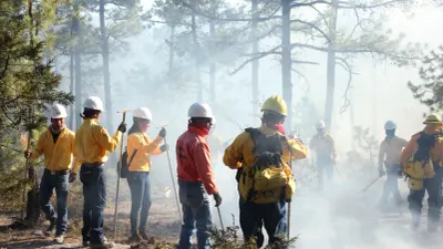 Suma Chihuahua 184 incendios forestales controlados en lo que va de 2026