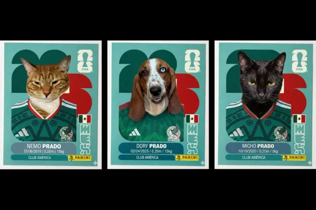 El trend que convierte a tu mascota en estampa estilo Panini del Mundial con IA