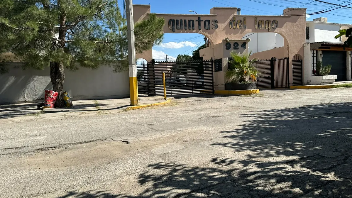 Vecinos de Los Lagos piden reparar calle afectada por baches