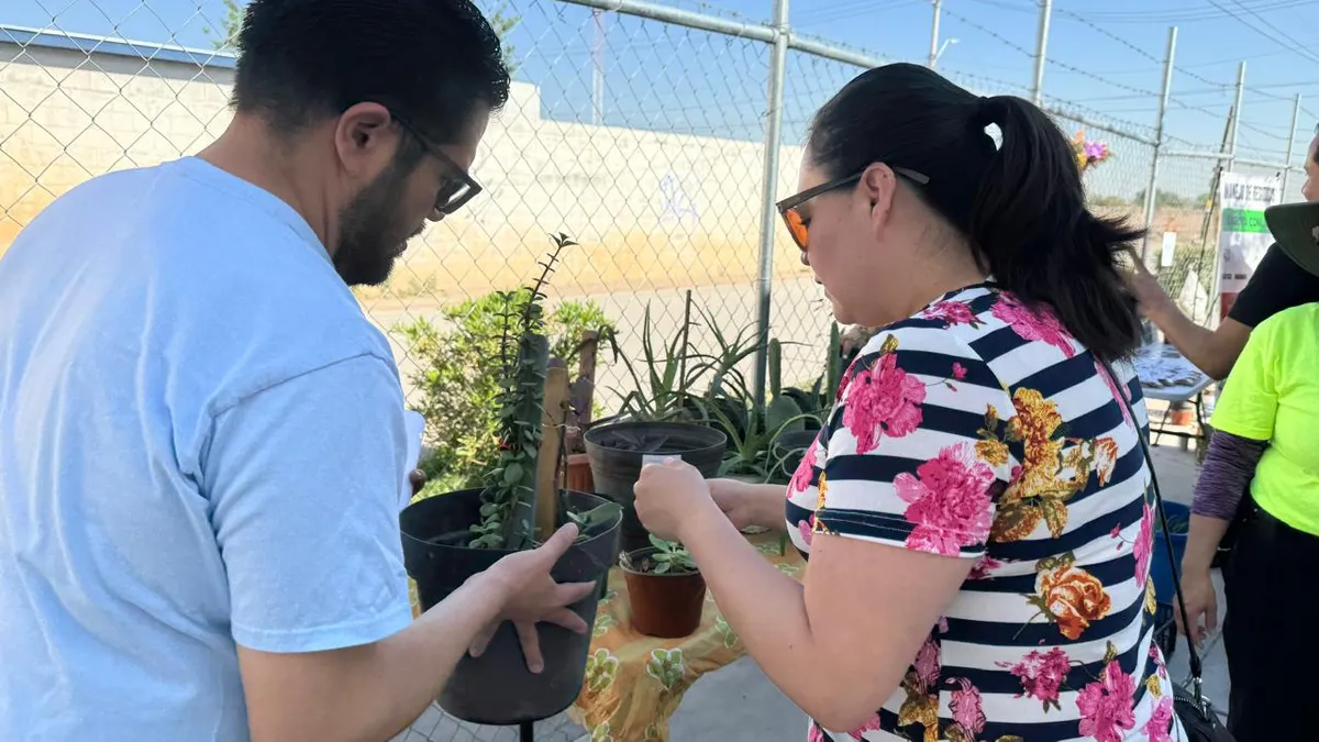 Invitan a intercambio gratuito de plantas y semillas en Valle del Sol