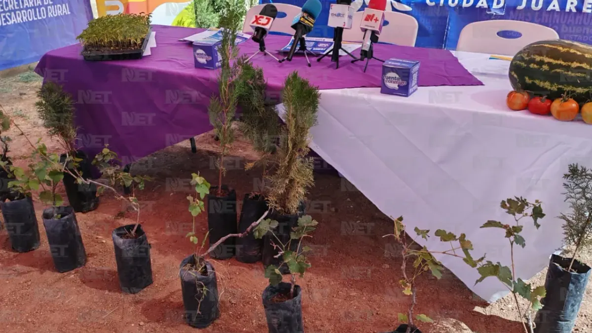 Regalará Parque Central 300 árboles y semillas en Feria Ambiental