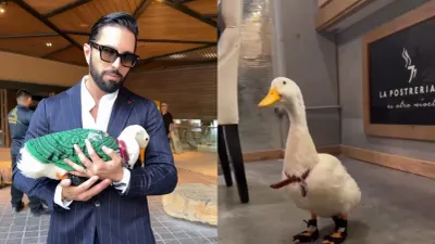 ¿Lo compró? Aparece Poncho de Nigris con el pato Merlín y causa revuelo