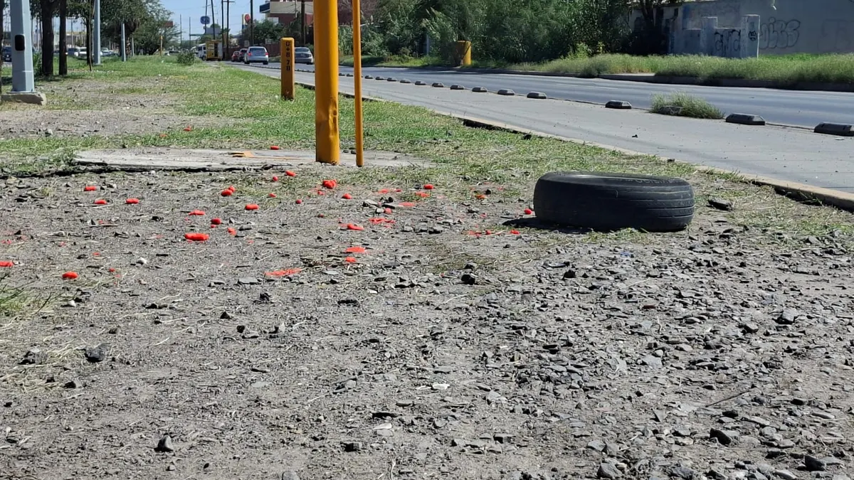 Atropella patrulla a peatón en carril confinado del BRT en Zaragoza
