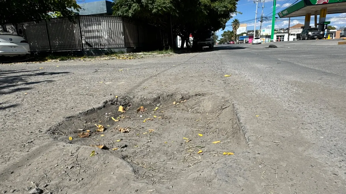 Vecinos de Los Lagos piden reparar calle afectada por baches
