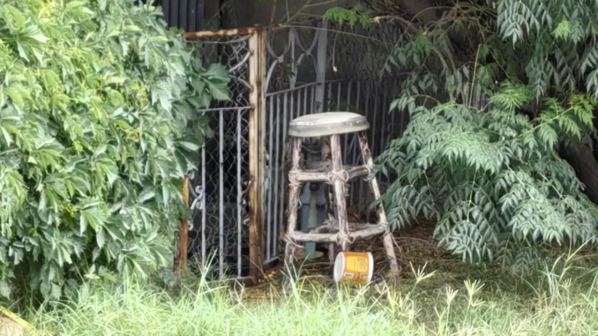Hallan sin vida a mujer en vivienda de la colonia Hidalgo