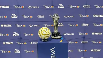 Presenta Senado iniciativa para reinstaurar ascenso y descenso en Liga MX