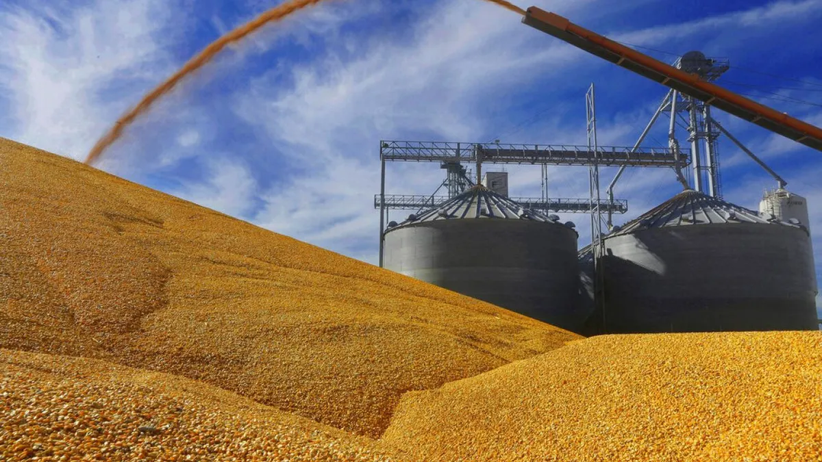 Arranca Chihuahua entrega de 275 toneladas de maíz rolado para productores