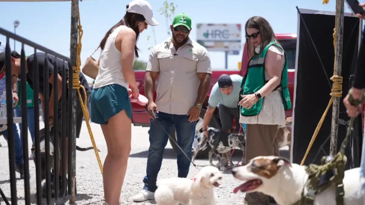 Jornada de salud animal del Partido Verde atiende a más de 600 mascotas