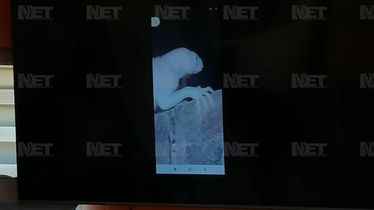 Investigadores de Maussan muestran en Juárez evidencia de criatura no identificada