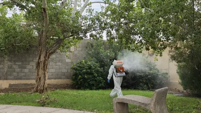 Refuerzan nebulización en Juárez ante riesgo de dengue por lluvias