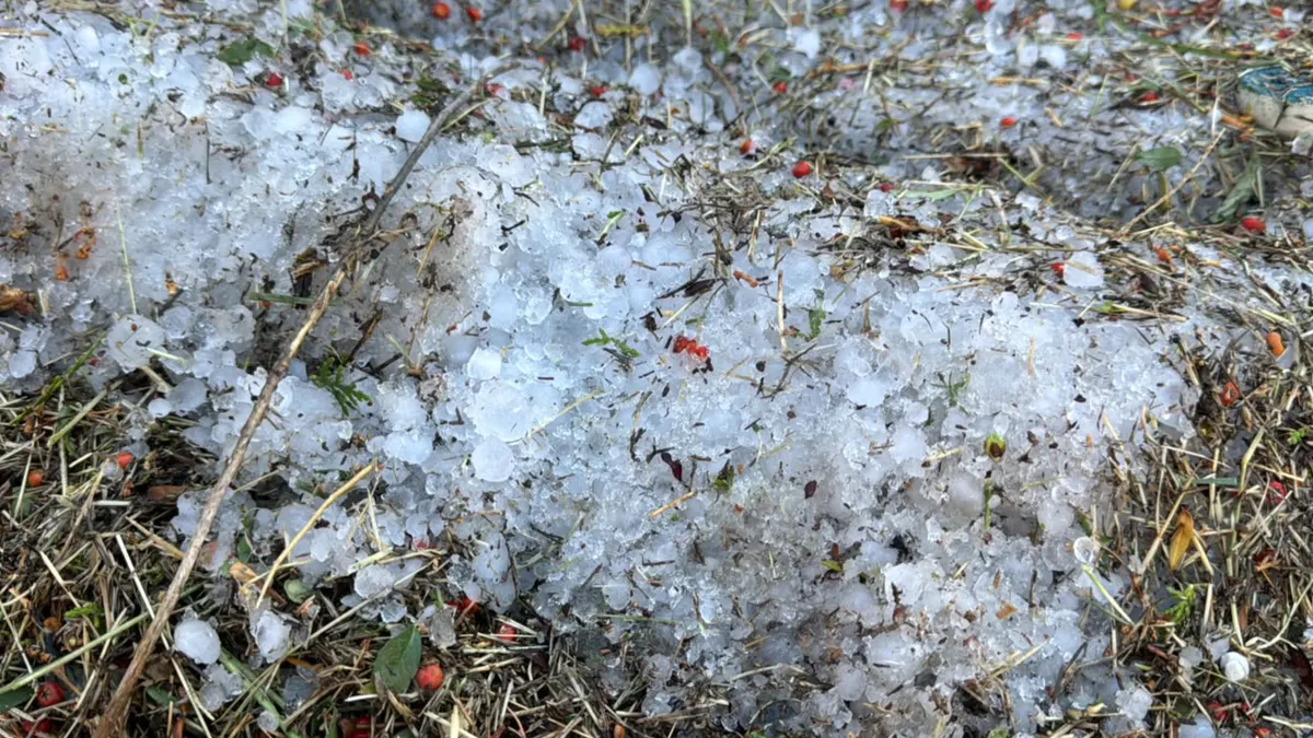 Sorprende a juarenses granizo que no se derrite