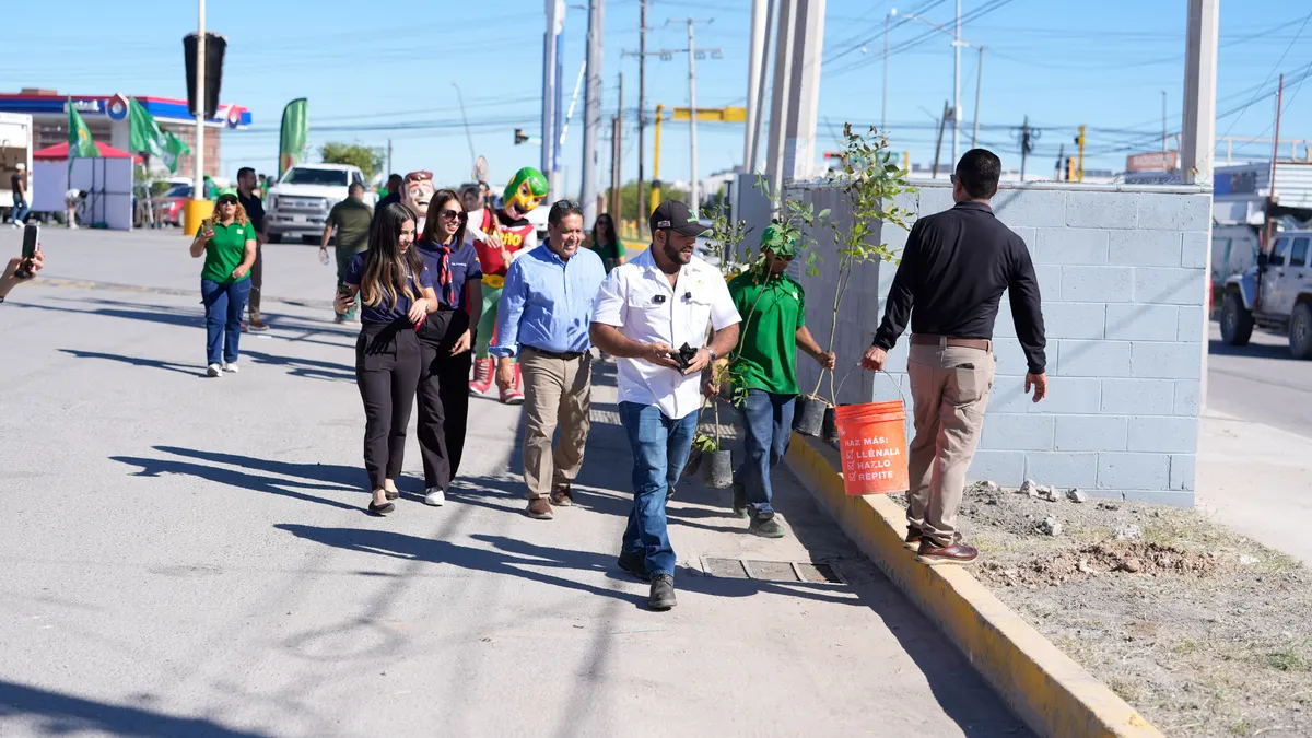 Partido Verde y Del Río se unen para plantar 115 fresnos en Juárez