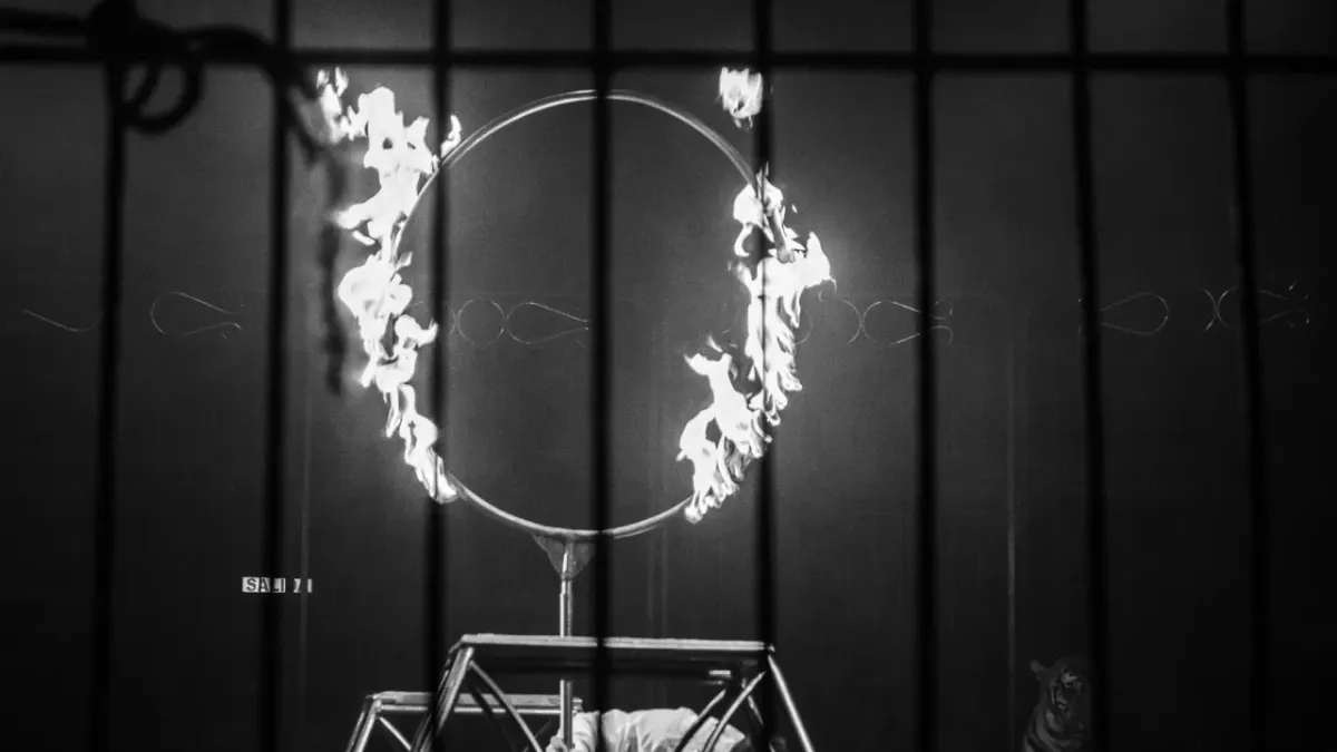 Ofrece Museo de Arte talleres, conciertos y recorridos este fin de semana