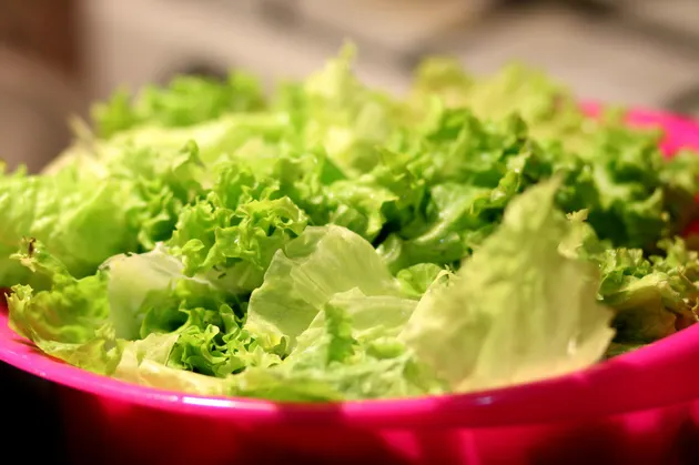 Confirma EU que brote de diarrea explosiva proviene de lechuga de Guanajuato