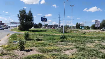 Lluvias transforman la Sierra de Juárez en un paisaje verde