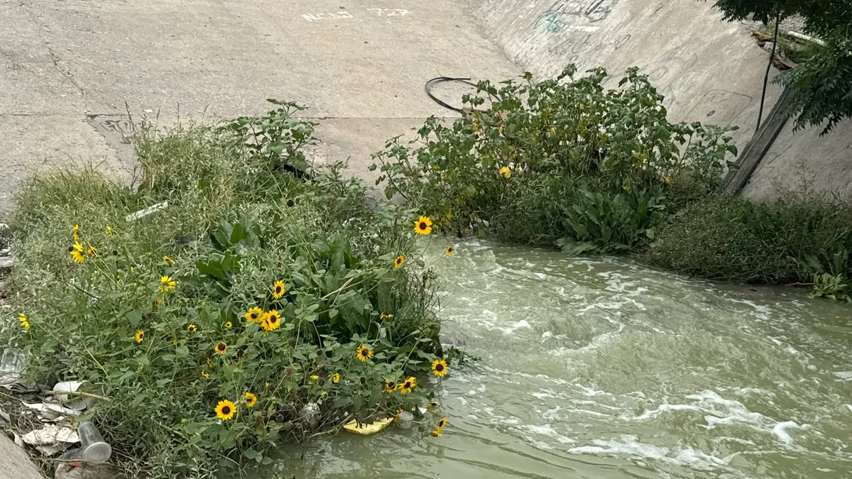 Lluvias elevan nivel de presa y escurre hacia viviendas en colonia Revolución Mexicana