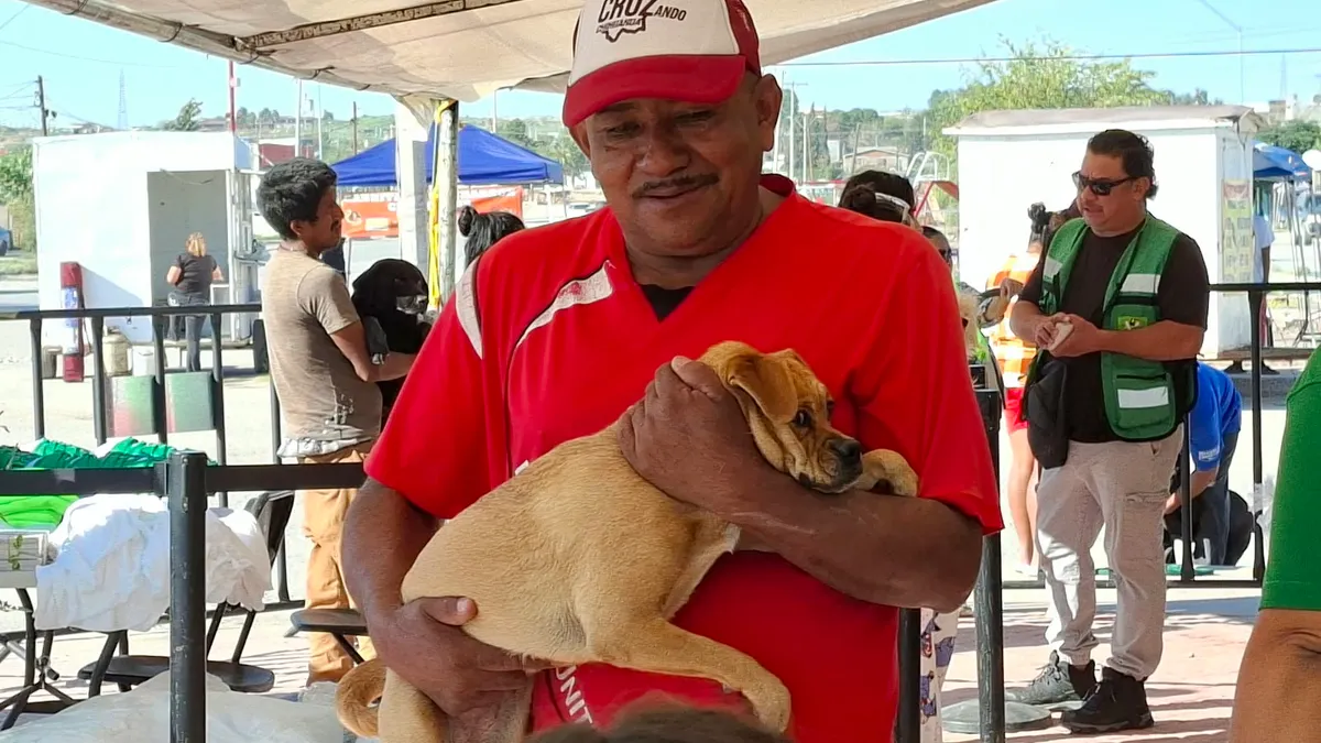 Realizan jornada de vacunación para mascotas en Riberas del Bravo