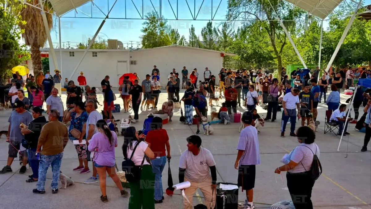 Esterilizan gratis a mascotas en escuela de Infonavit Juárez Nuevo