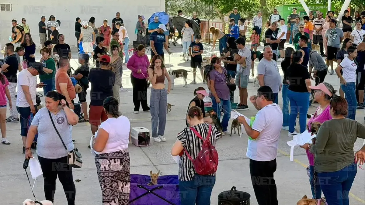 Realizarán esterilización gratuita de mascotas este domingo en Juárez