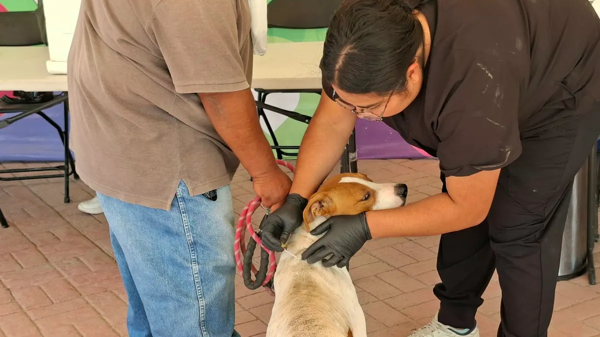 Realizan jornada de vacunación para mascotas en Riberas del Bravo