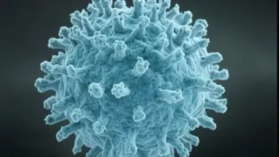 Muere en Francia el primer humano infectado por el virus Shamonda