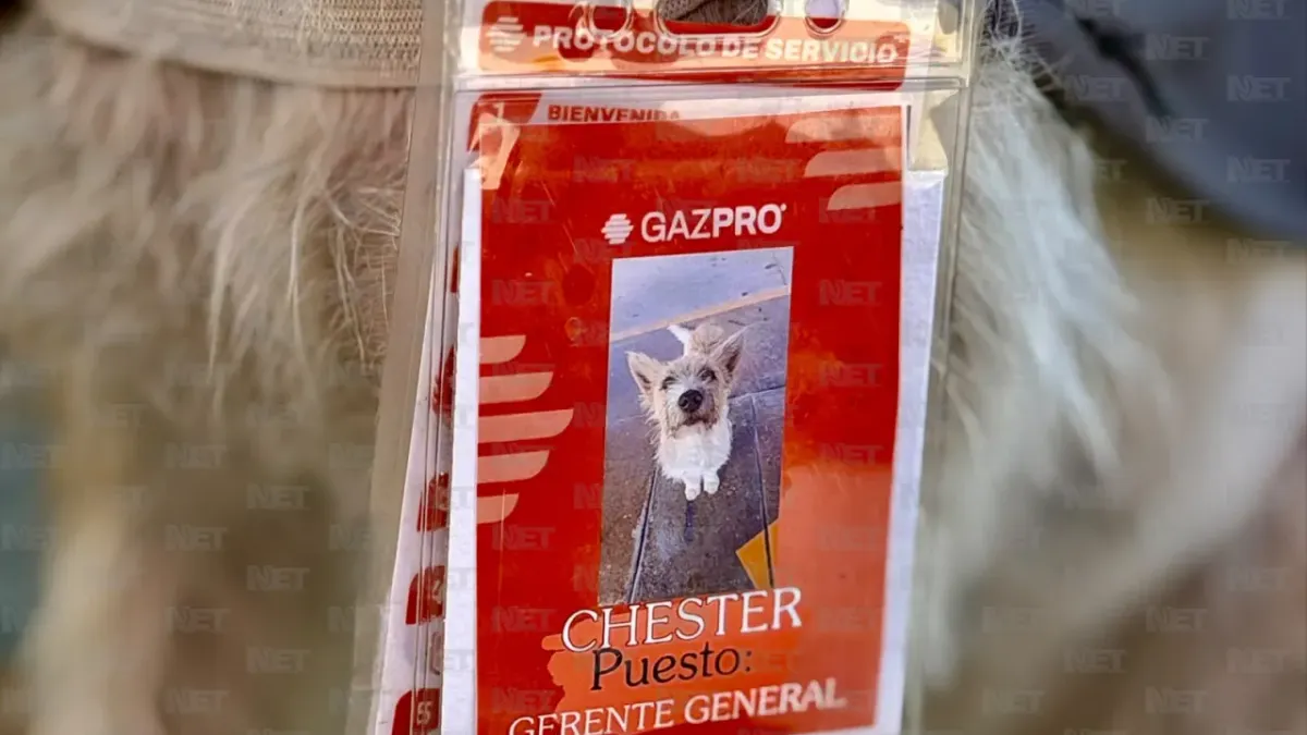 Adoptan a perrito callejero y lo nombran 'gerente general' de gasolinera