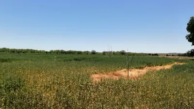 Lanzan Escuela de Exportación Agroindustrial para 20 empresas en Chihuahua