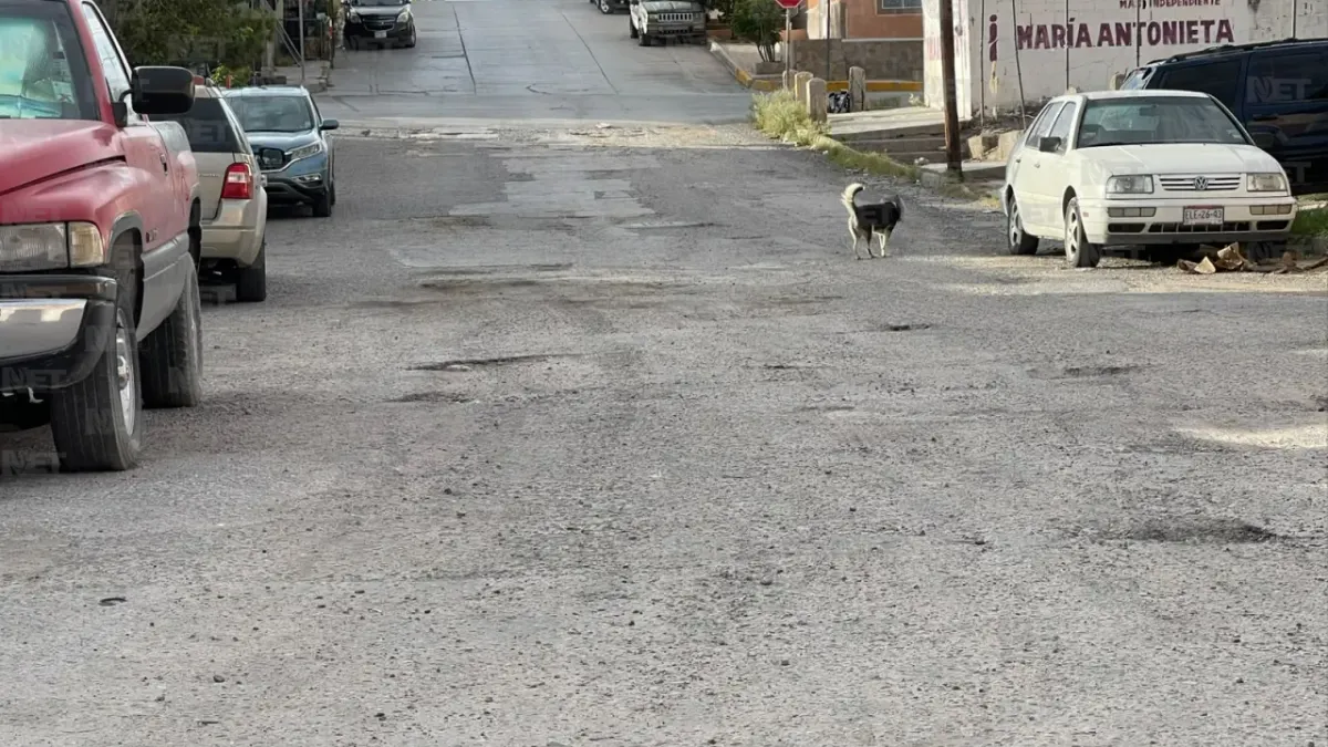 Vecinos solicitan rehabilitación de calle con baches severos en la San Antonio