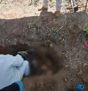 Localizan fosa clandestina en zona serrana de Chihuahua