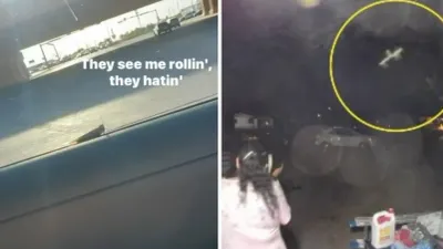 'Invasión' de chapulines llega ahora a El Paso
