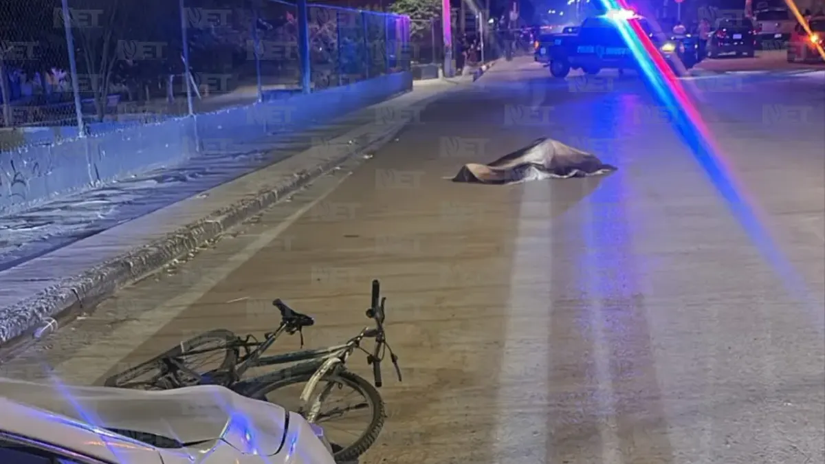 Seguridad Vial 