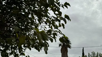 Mantienen alerta amarilla por vientos de hasta 70 km/h en Juárez