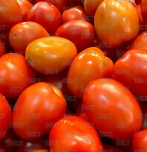 Inflación en Juárez se mantiene en 2.7% y estabiliza precios de canasta básica