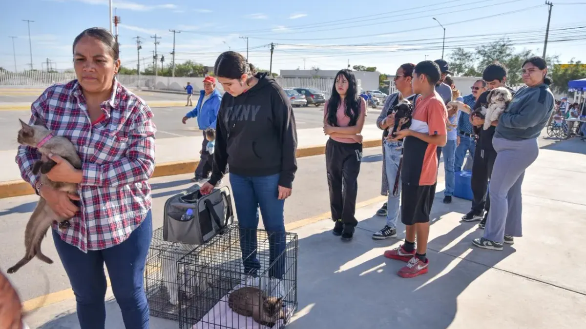 Realizan jornada de vacunación antirrábica en varios puntos de Juárez