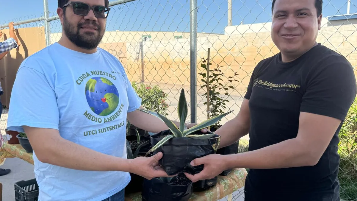 Invitan a intercambio gratuito de plantas y semillas en Valle del Sol