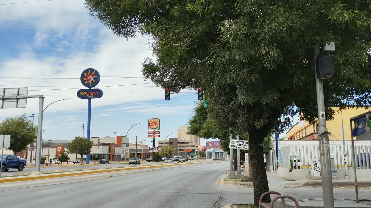 Árboles bloquean semáforos y elevan riesgo de choques en Paseo Triunfo