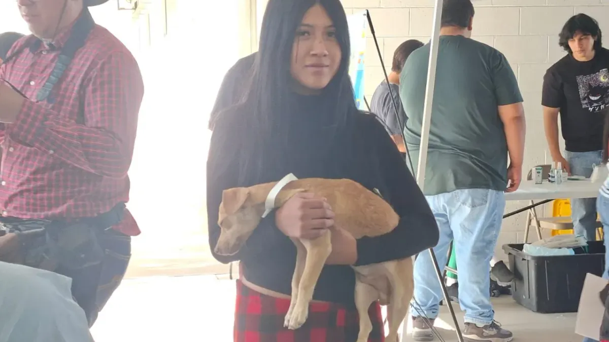Acuden cientos a jornada de esterilización gratuita de mascotas