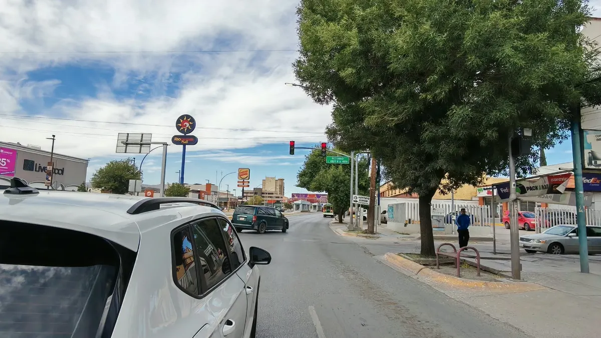 Árboles bloquean semáforos y elevan riesgo de choques en Paseo Triunfo