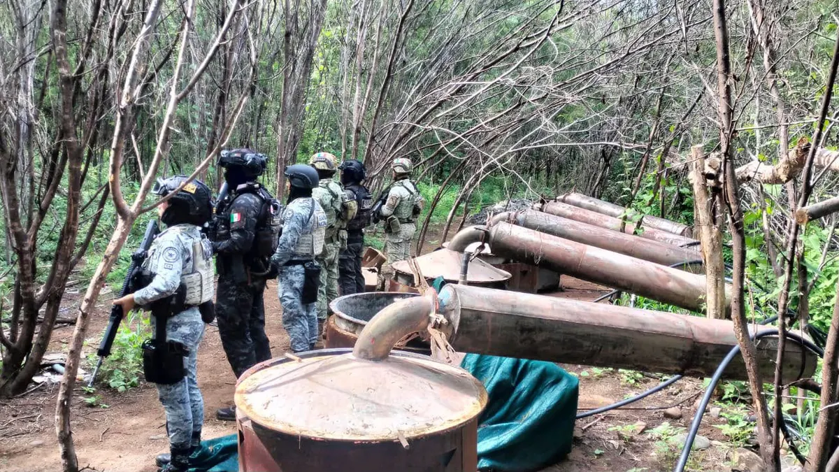 Desmantelan cuatro narcolaboratorios en Michoacán y Guerrero