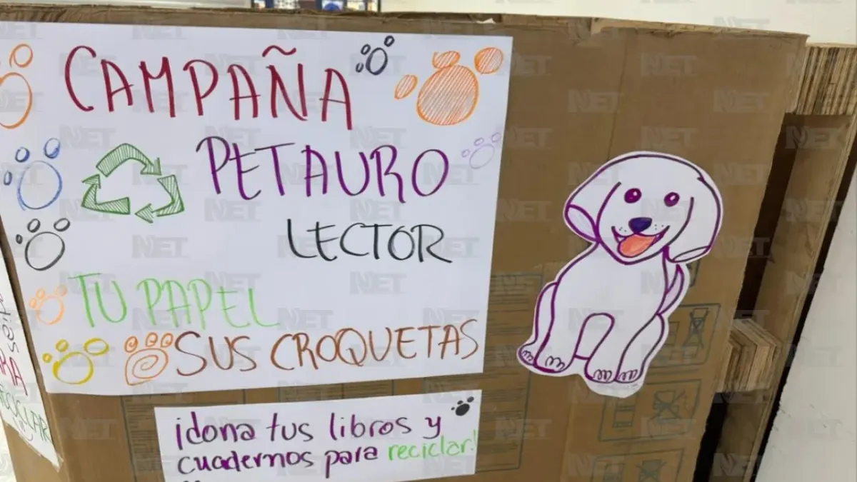 Invitan a donar papel y libros en desuso para ayudar a albergues de mascotas
