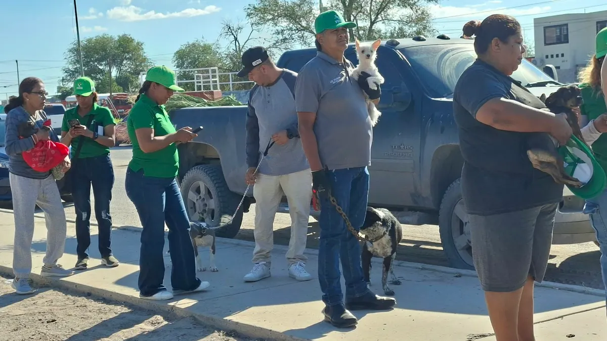 Realizan jornada de vacunación para mascotas en Riberas del Bravo