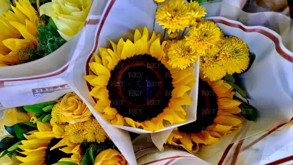 Flores amarillas llenan los cruceros de Juárez por tendencia viral