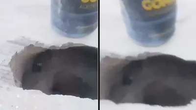 Alertan vecinos por socavón en colonia La Presa y piden atención