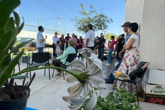 Invitan a intercambio gratuito de plantas y semillas en Valle del Sol