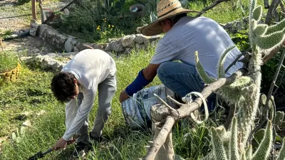 Habitantes de Vista del Valle impulsan recuperación de jardín desértico